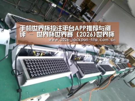 投注app案例展示一(图1)